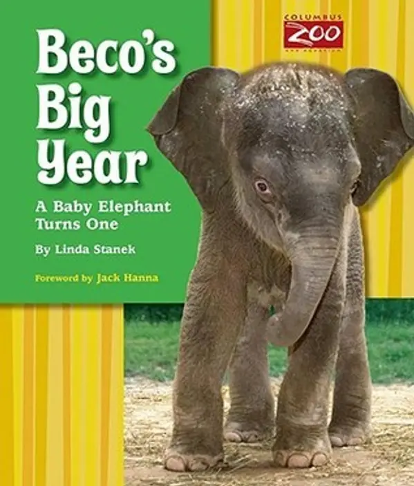 Beco's Big Year: A Baby Elephant Turns One by Linda Stanek cover