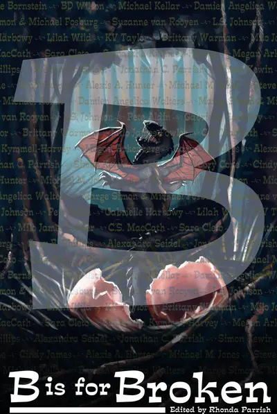 B is for Broken book cover