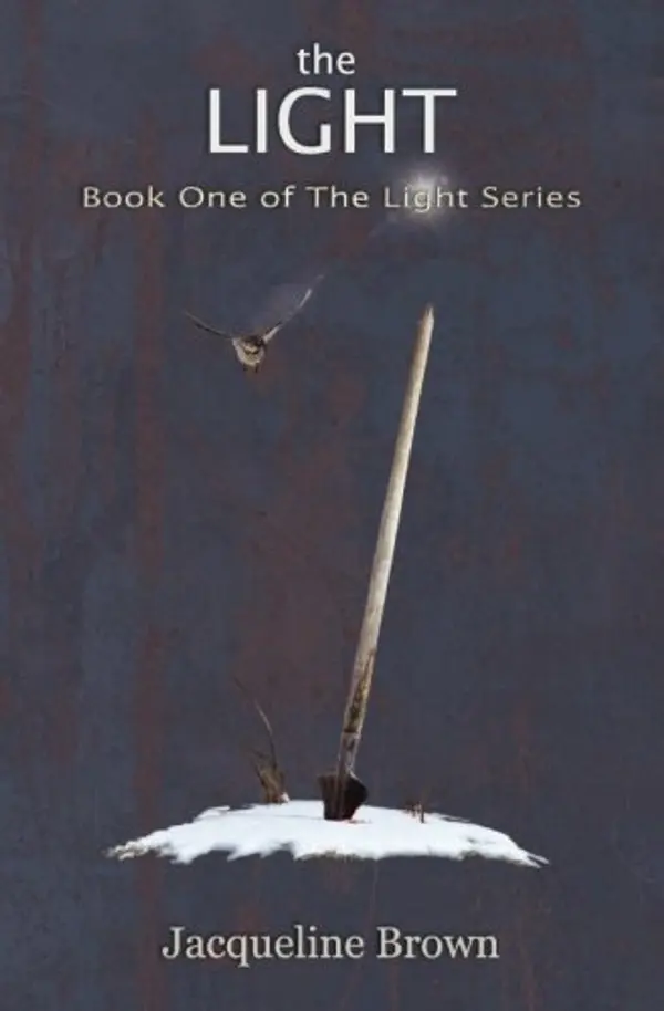 The Light: Who do you become when the world falls away? (Volume 1) by Jacqueline Brown cover