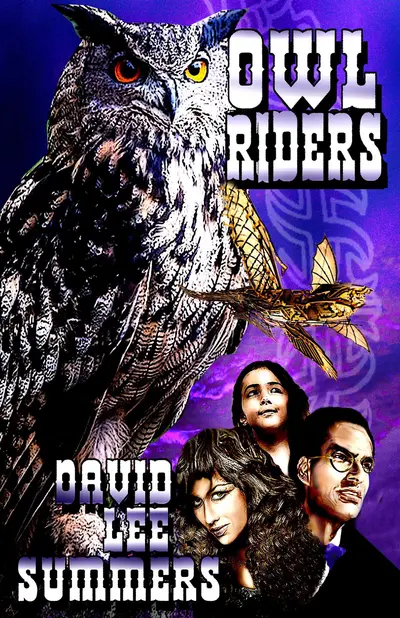 Owl Riders book cover