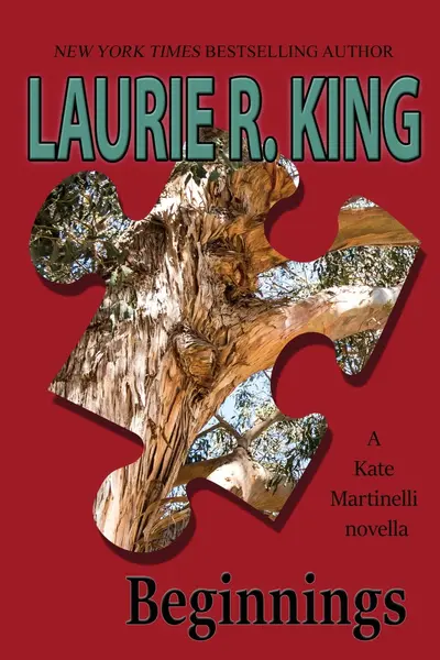 Beginnings book cover