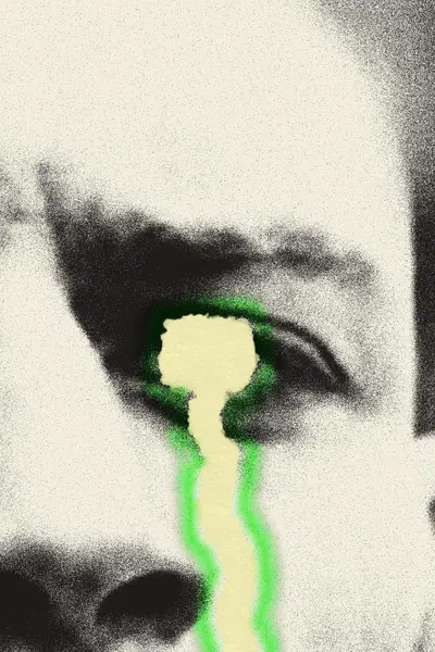 New Meat in a Clean Room book cover