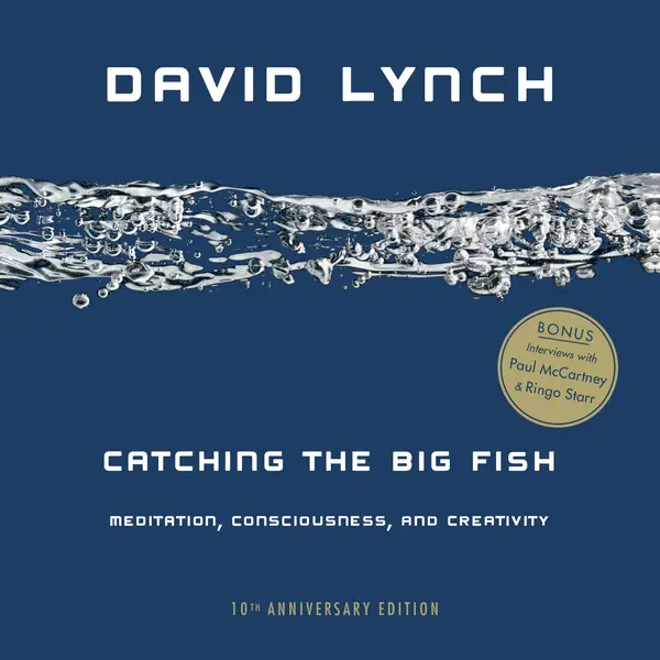 Catching the Big Fish by David Lynch cover