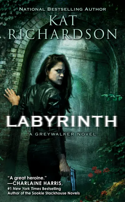 Labyrinth book cover
