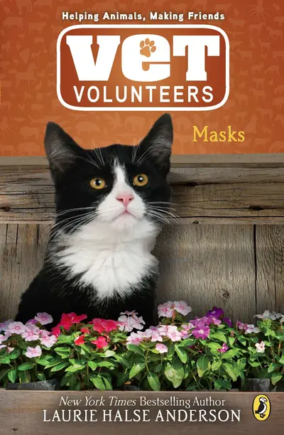 Masks book cover