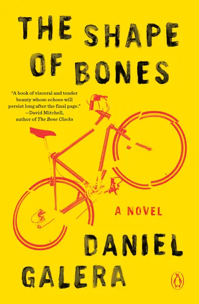 The Shape of Bones book cover