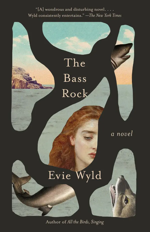 The Bass Rock by Evie Wyld cover
