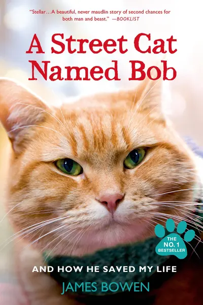 A Street Cat Named Bob book cover