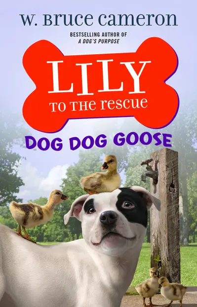 Lily to the Rescue: Dog Dog Goose book cover