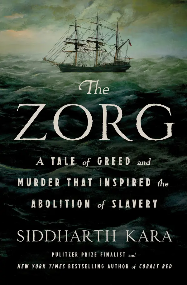 The Zorg by Siddharth Kara cover