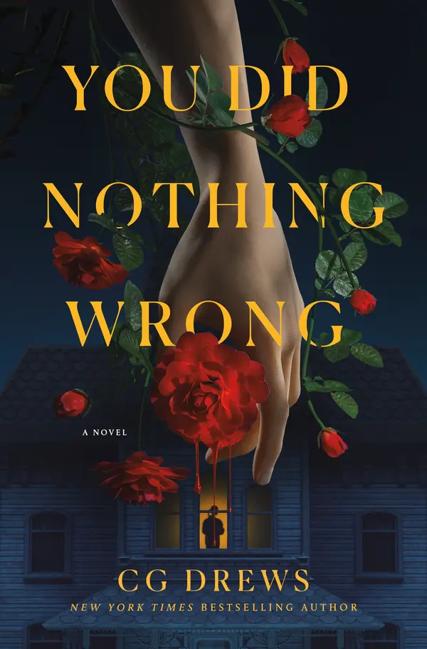 You Did Nothing Wrong by CG Drews cover