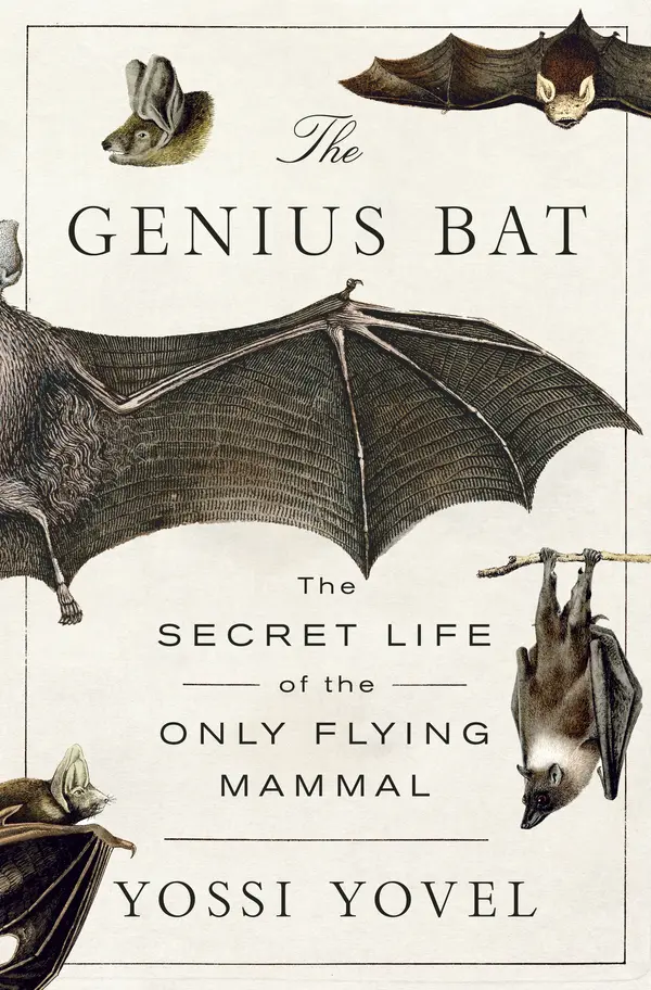 The Genius Bat by Yossi Yovel cover