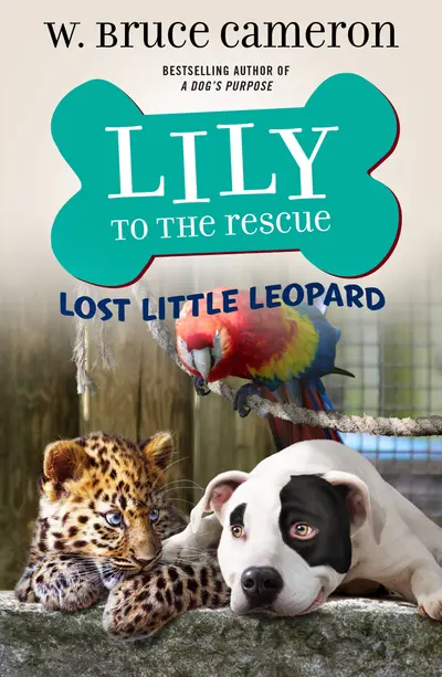 Lily to the Rescue: Lost Little Leopard book cover
