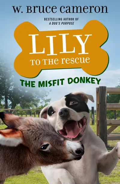 Lily to the Rescue: The Misfit Donkey book cover