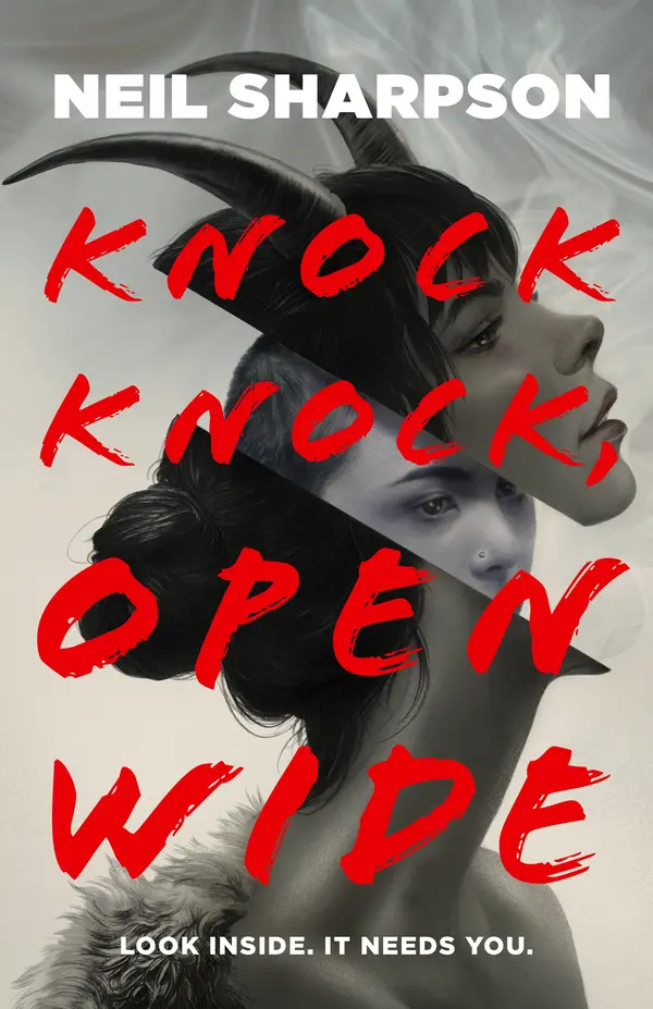 Knock Knock, Open Wide by Neil Sharpson cover