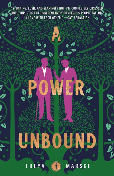 A Power Unbound book cover