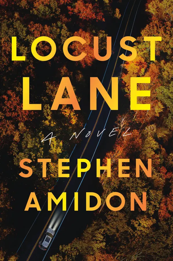 Locust Lane by Stephen Amidon cover