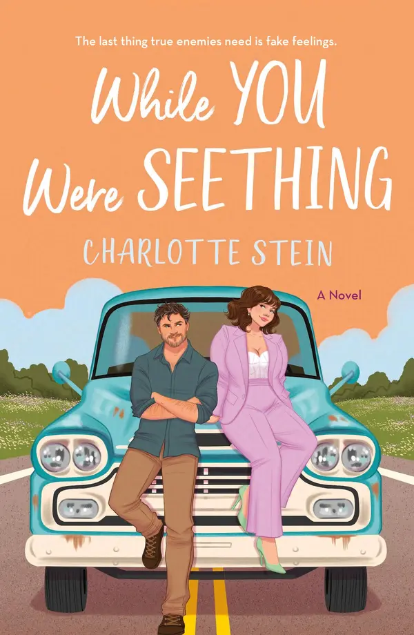 While You Were Seething by Charlotte Stein cover