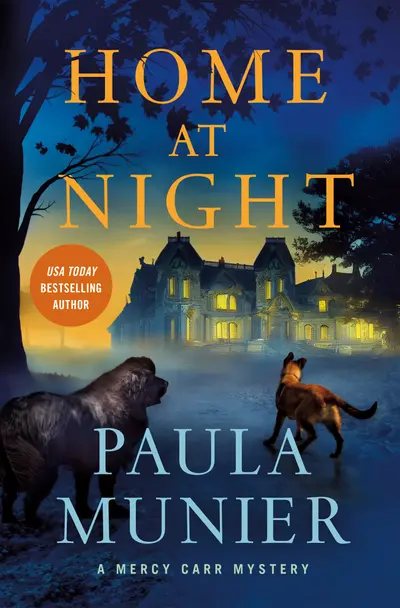 Home at Night book cover