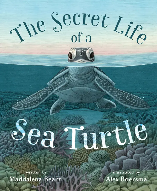 The Secret Life of a Sea Turtle by Maddalena Bearzi cover