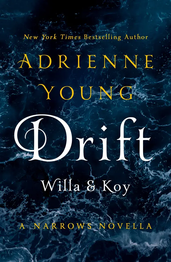 Drift: Willa & Koy by Adrienne Young cover