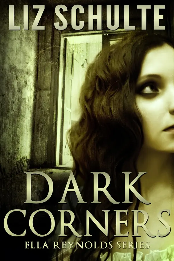 Dark Corners by Liz Schulte cover