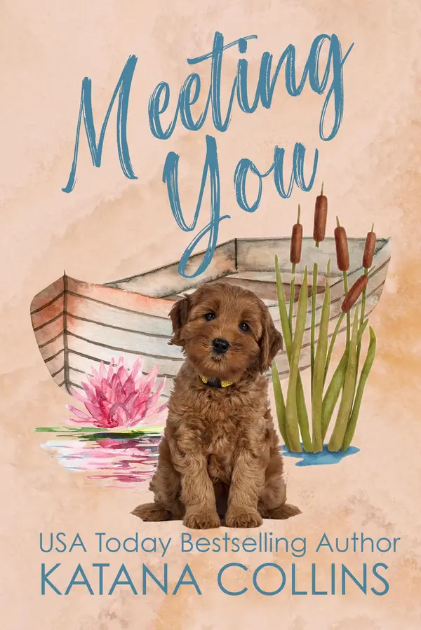 Meeting You by Katana Collins cover