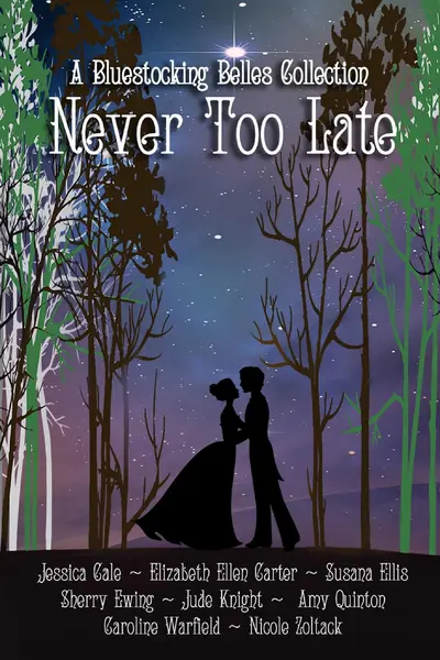 Never Too Late book cover