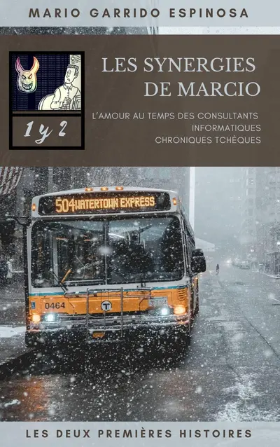 Les synergies de Marcio 1 et 2 book cover