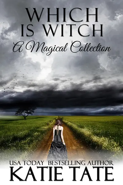 Which is Witch book cover