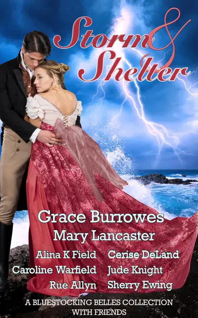 Storm & Shelter: A Bluestocking Belles with Friends Collection book cover