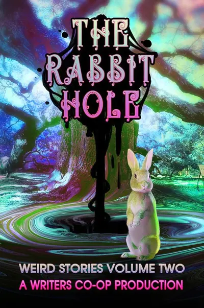 The Rabbit Hole book cover