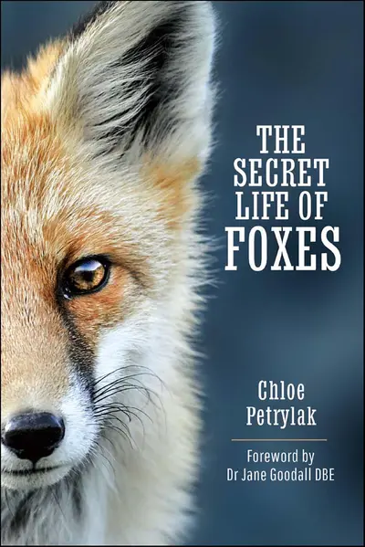 The Secret Life of Foxes book cover