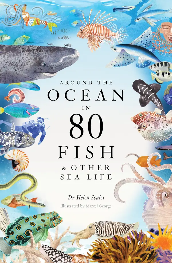 Around the Ocean in 80 Fish and other Sea Life by Helen Scales, Marcel George cover