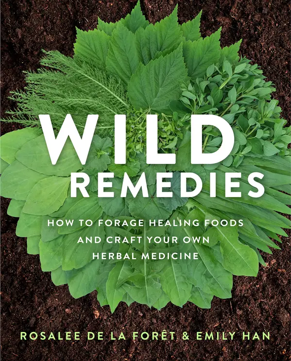 Wild Remedies by Rosalee de la Forêt, Emily Han cover