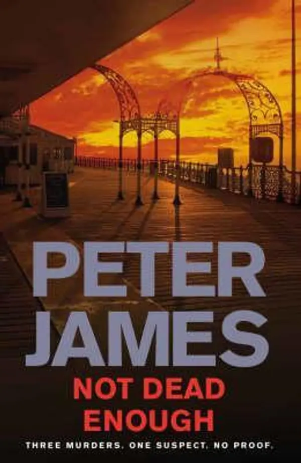 Not Dead Enough (Roy Grace, #3) by Peter James cover