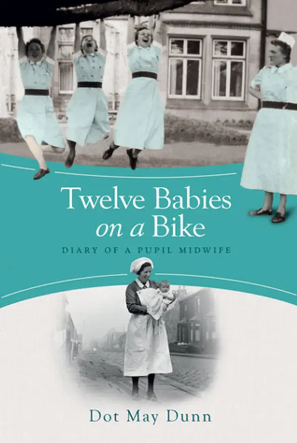Twelve Babies on a Bike by Dot May Dunn cover