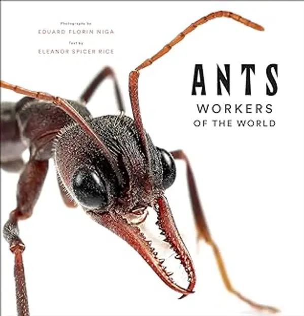 Ants: Workers of the World by Eleanor Spicer Rice cover