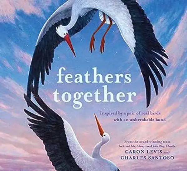 Feathers Together (Feeling Friends) by Caron Levis cover