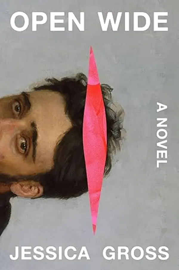 Open Wide by Jessica Gross cover