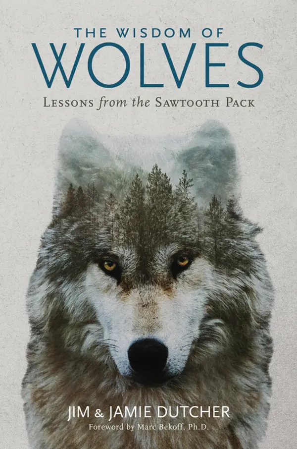 The Wisdom of Wolves: Lessons From the Sawtooth Pack by Jamie Dutcher, Jim Dutcher cover