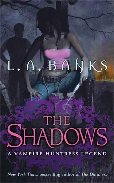 The Shadows book cover