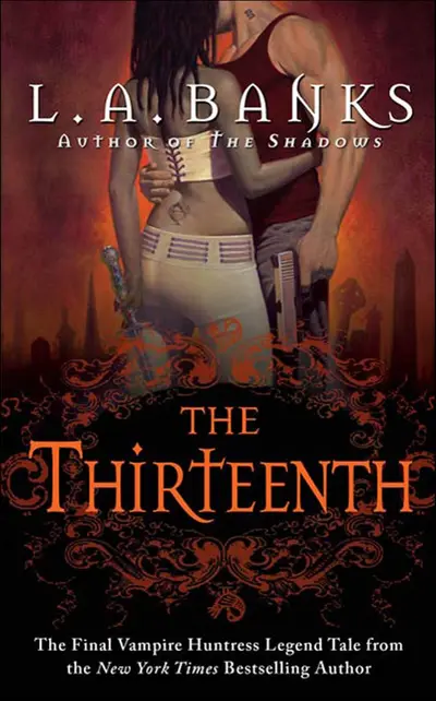 The Thirteenth book cover