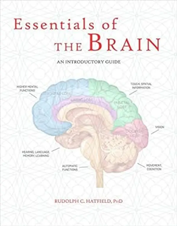 Essentials of the Brain: An Introductory Guide by Rudolph C. Hatfield cover