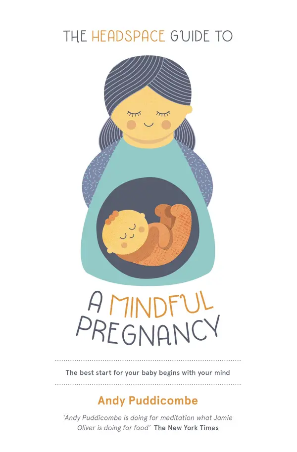 The Headspace Guide To...A Mindful Pregnancy by Andy Puddicombe cover