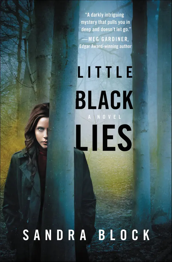 Little Black Lies by Sandra Block cover