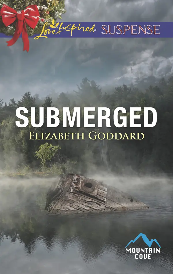 Submerged by Elizabeth Goddard cover