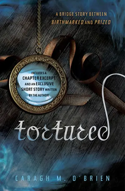 Tortured book cover
