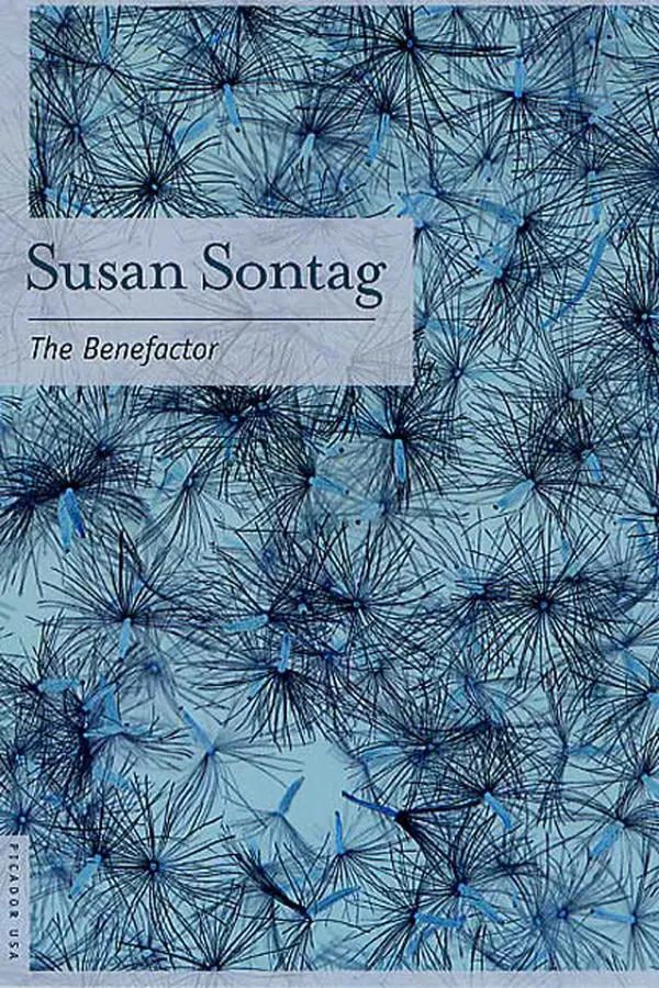 The Benefactor by Susan Sontag cover