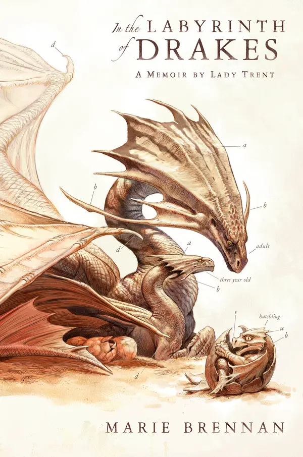 In the Labyrinth of Drakes by Marie Brennan cover